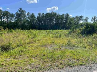 Blackjack Ln, Andrews, SC 29510