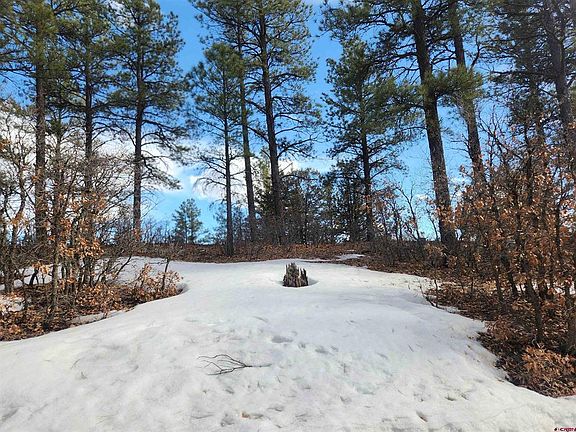 2nd image of 1580 Shenandoah Drive