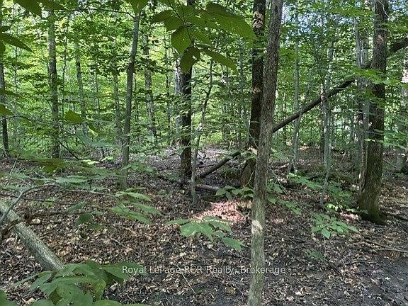 3rd image of Connell Lake Rd Lot 26