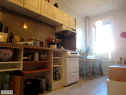 Rented by Native Real Estate LLC | media 31