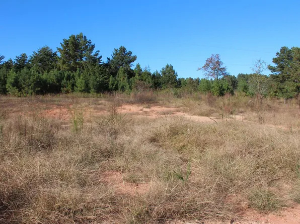 113 Lucille Dr, Gray Court, SC 29645