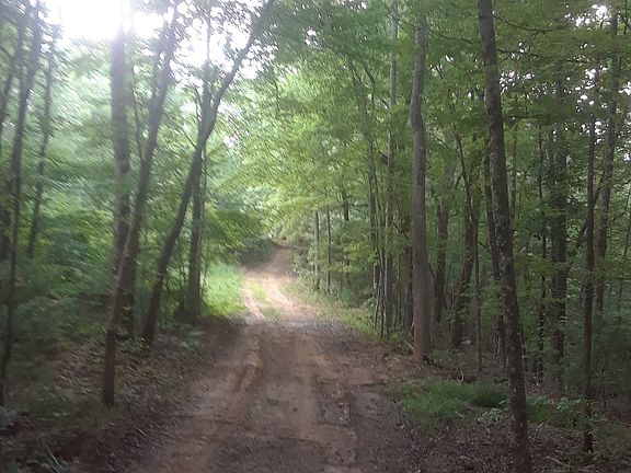 dirt road / back of property