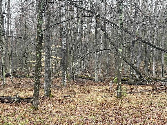 5th image of W13470 Eagle River Rd