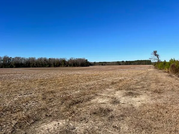 1872 Jordan Church Rd, Manning, SC 29102