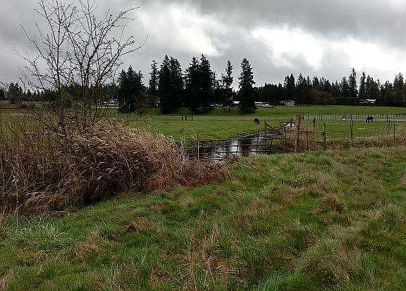 3rd image of 19000 SE 416th St