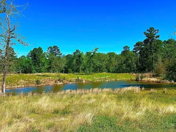 868 County Road 2920, Alba, TX 75410