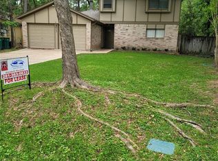 23 Capewood Ct, Spring, TX 77381