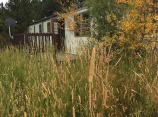 230 Little Creek Rd, Idaho Springs, CO 80452
