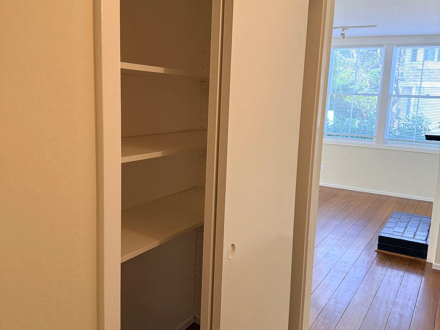 1 bed, 900 sqft, $3,295 — Photo 4