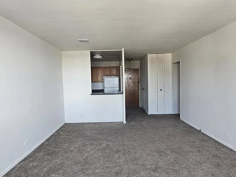 555 W Cornelia Ave #2009 — Photo 3