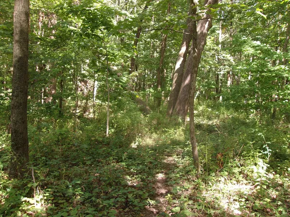 County Road 400 West Rd, Covington, IN 47932