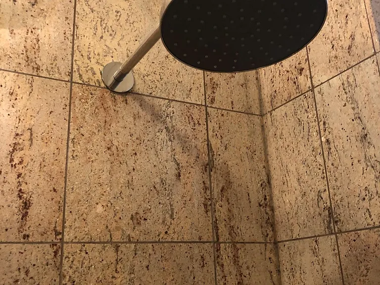 Rainfall Shower