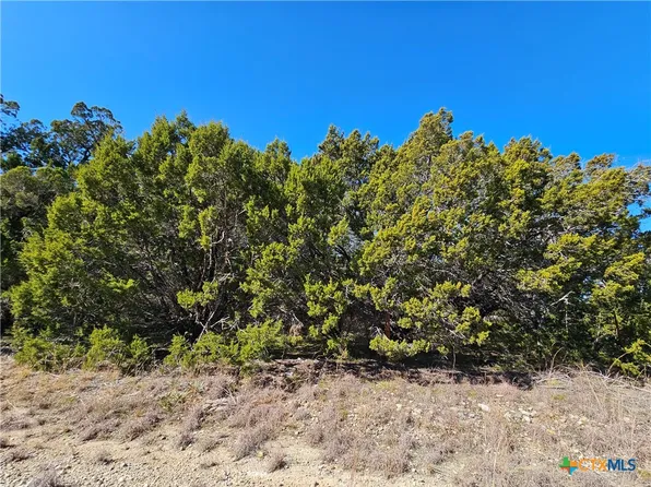 3831 Tbd County Rd, Evant, TX 76525