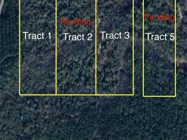 0 County Road 883 Tract 3, Vidor, TX 77662