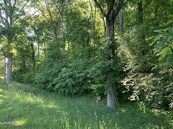 5th image of 0 Woodhaven Dr