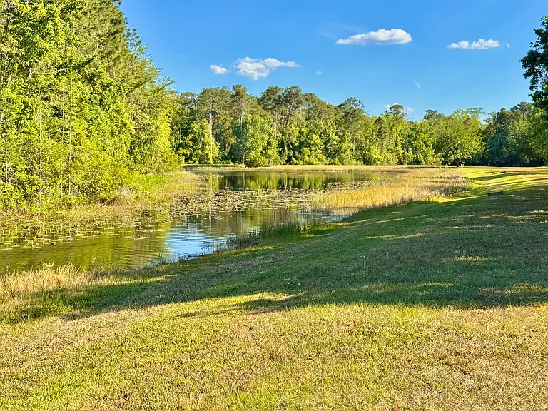 10650 Cypress Trail Dr — Photo 23