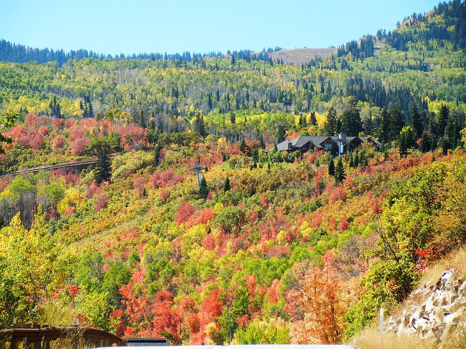 2nd image of 4 White Pine Canyon Rd