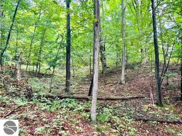 Killdale Ave, Benzonia, MI 49616