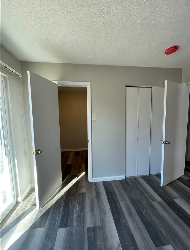 1 bed, $700 — Photo 4