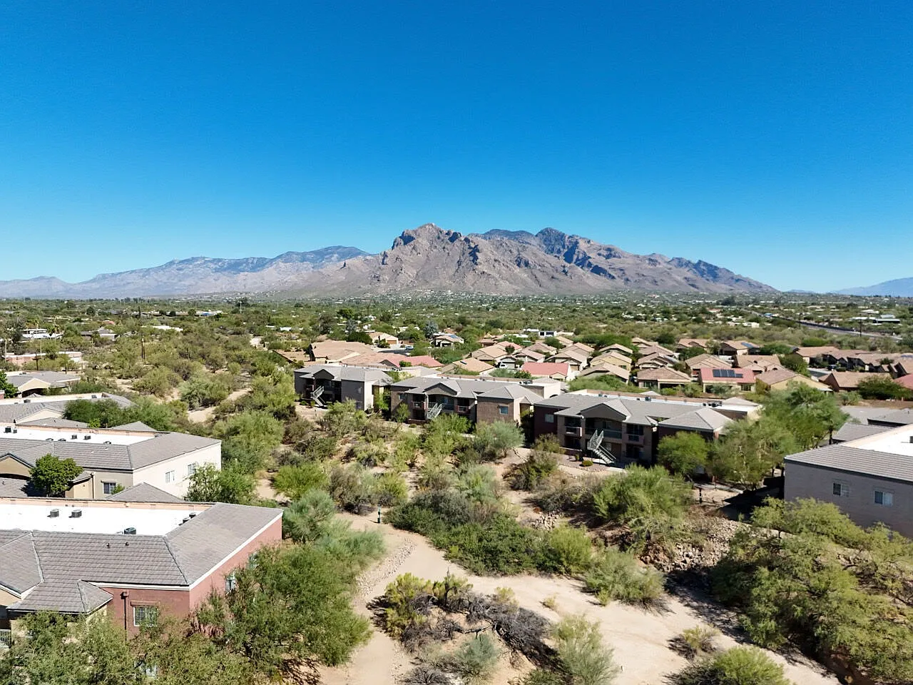 Tierra Vida — Photo 2