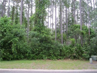 102 Amberjack Loop, Saint Marys, GA, 31558