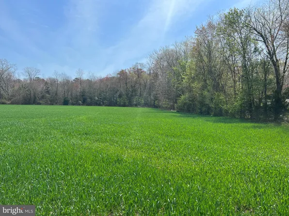 Concord Pond Rd, Seaford, DE 19973