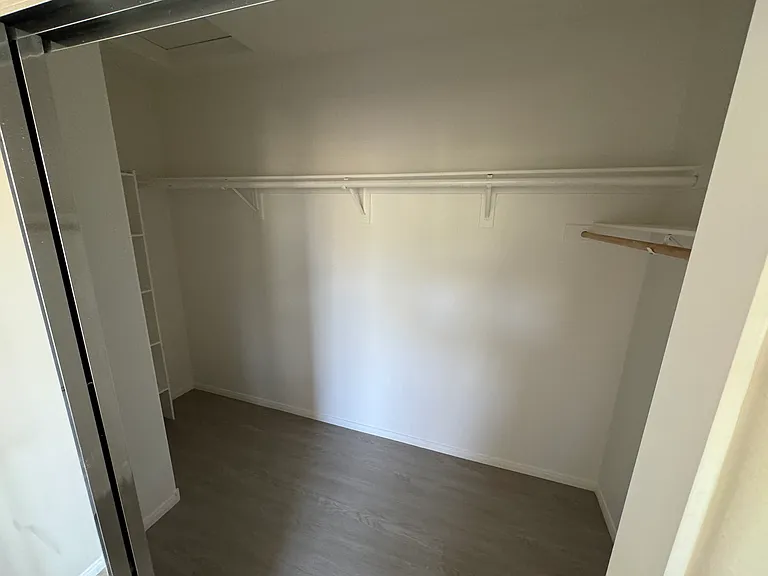 Master Walk in closet