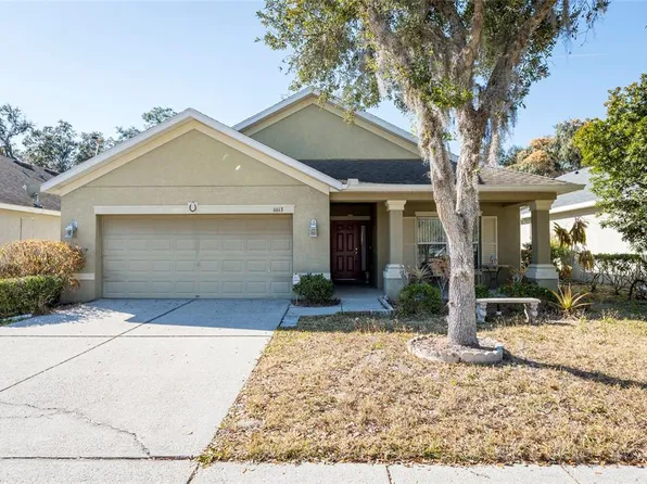 6613 Bluff Meadow Ct, Wesley Chapel, FL 33545