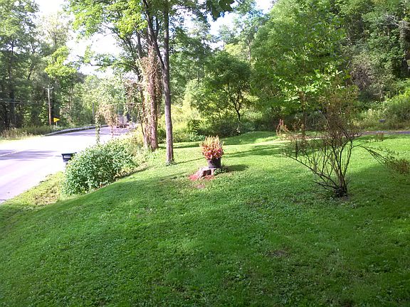 Evolving Lawn from Mt.Fauna!