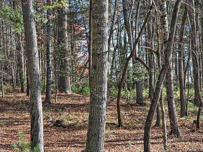 LOT 18 Fiddlers Cv, Blairsville, GA, 30512