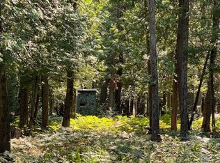 5400 N School Rd, Spruce, MI 48762