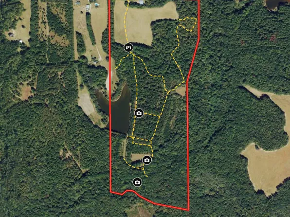 Pedenville Rd, Concord, GA 30206