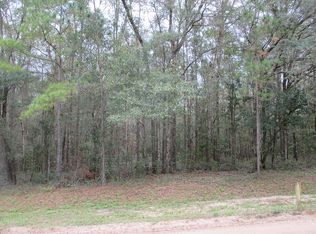 Ne Nixon Loop, Madison, FL 32340