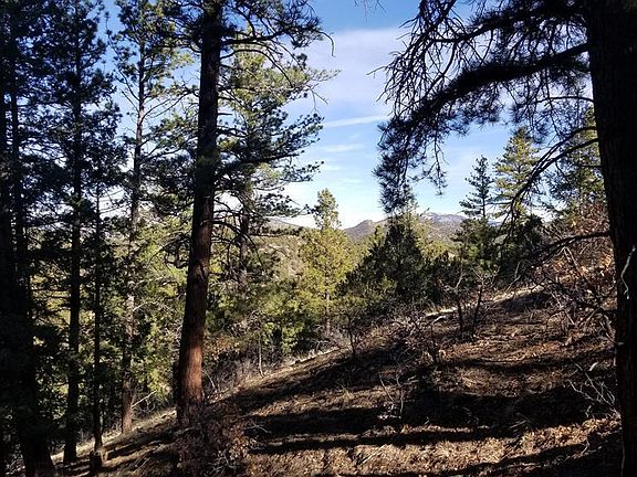 4th image of 549 Staghorn Ln #144