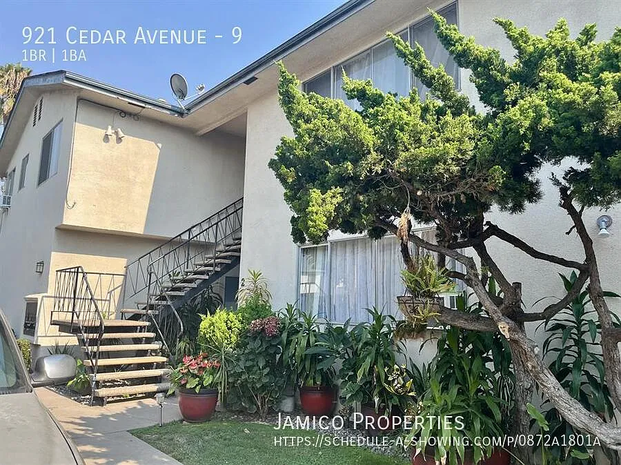 1 bed, $1,650 — Photo 4