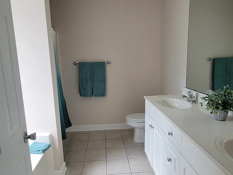 Master bathroom
