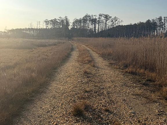 3rd image of 2373 Asquith Island Rd