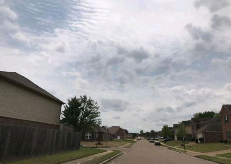 2nd image of 7454 Morgan Tree Ln