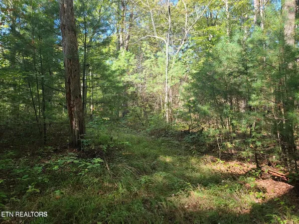 Hannah Davidson Rd, Sunbright, TN 37872