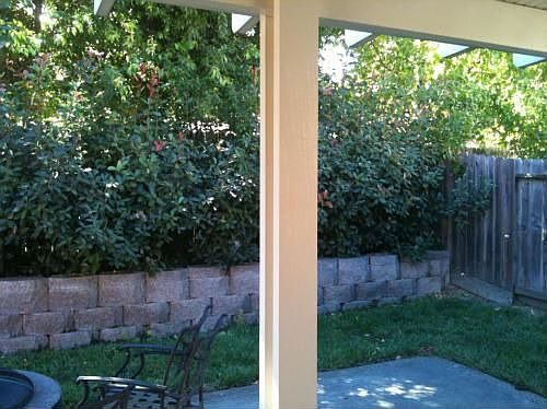 2nd image of 907 Iron Dr