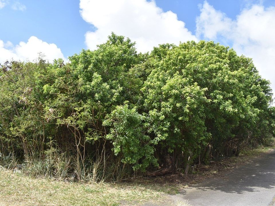 1st image of Mark Twain St Lot 14