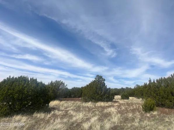 91 N Frk, Vernon, AZ 85940