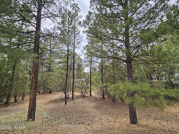 2nd image of 1060 S Hacienda Pines Dr