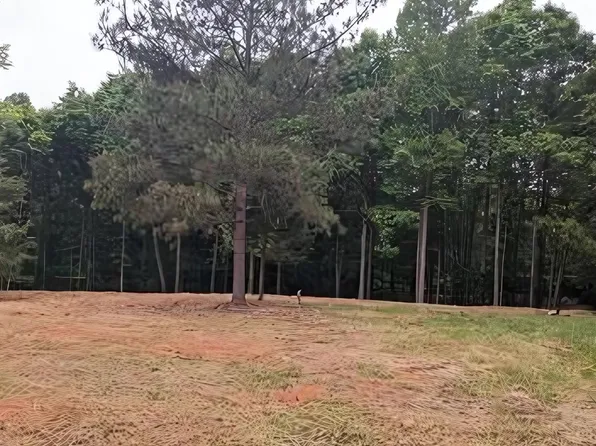 56 Highway, Enoree, SC 29335