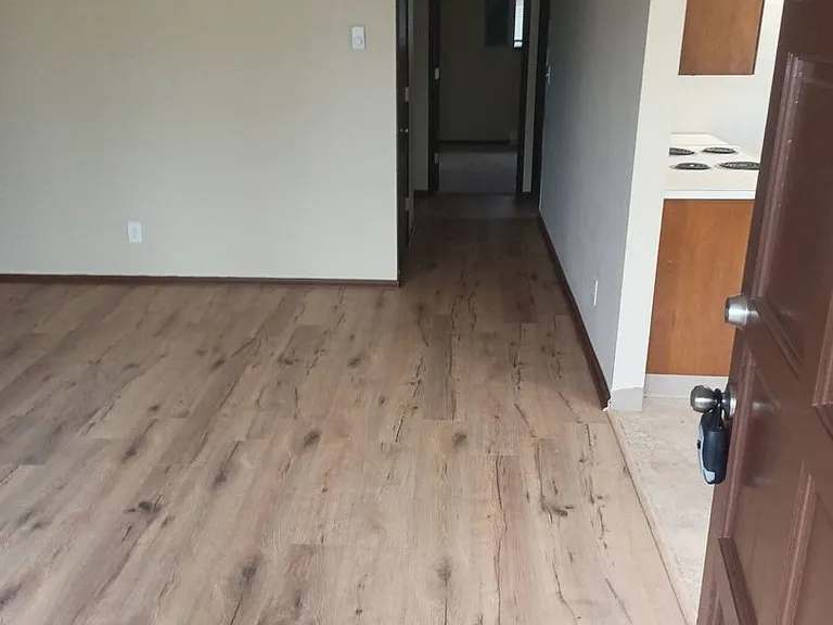 Coidylwood — Photo 2
