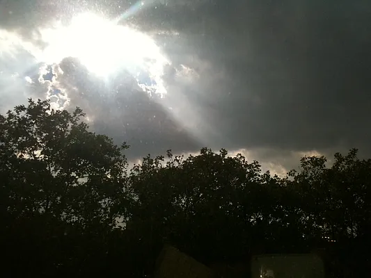 Rented by J Misrahi Realty Corp | media 41