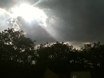 Rented by J Misrahi Realty Corp