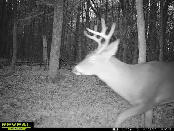 3rd image of Aderman Ln
