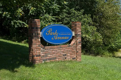 Park Avenue Photo 1