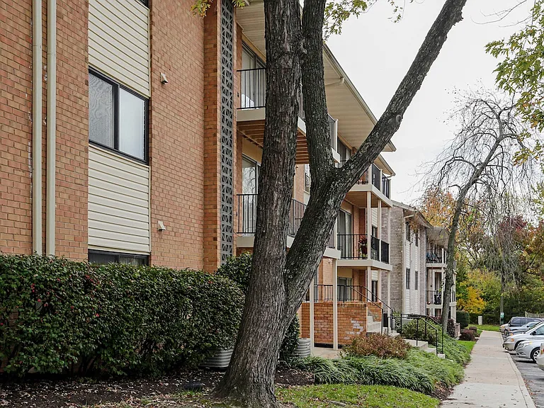 Laurel Park & Laurelton Court — Photo 13